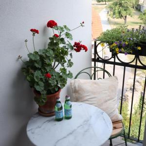 two bottles on a table with a potted plant on a balcony at Kalk Hotel in Visby