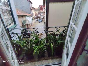a balcony with plants on a window sill at Modern Apartment in Guimarães, 50 m², Balcony in Guimarães