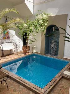 - une piscine dans une maison ornée de plantes dans l'établissement Riad SASHA, à Marrakech