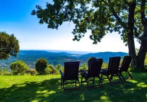 quatre chaises assises dans l'herbe sous un arbre dans l'établissement Domaine du Bois d'Amont, à Cabris