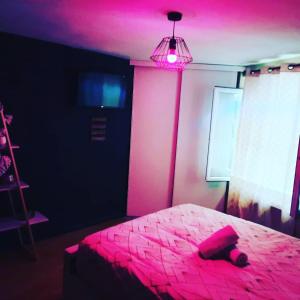 Un dormitorio con una cama rosa con un osito de peluche. en Maison avec jacuzzi, en Saint-Mitre-les-Remparts