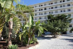 A garden outside Apartamento Picasso