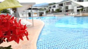a large swimming pool with red flowers in the foreground at Apartasol Santa Fe Oficial in Santa Fe de Antioquia