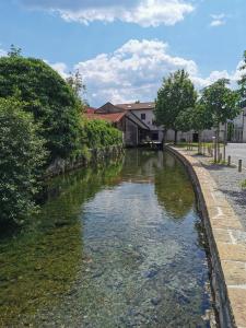 a river with green algae on the side of it at Vila Antik in Ilirska Bistrica