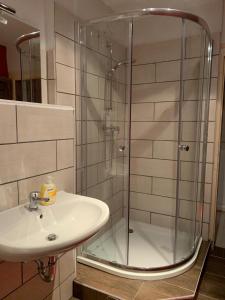 a bathroom with a sink and a shower at Ferienwohnung Eichhörnchen in Suhl