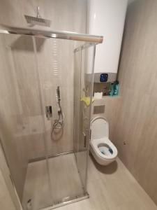 a bathroom with a shower and a toilet at V&Dj in Čajetina +17 photos