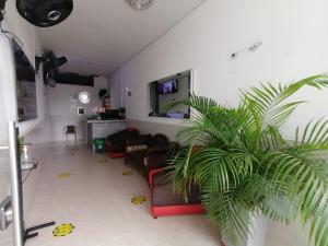 een woonkamer met een bank en een palmboom bij Hotel Gueicer Cucuta in Cúcuta