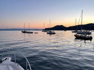 - un groupe de bateaux dans l'eau au coucher du soleil dans l'établissement Latitudes 43, à Porquerolles