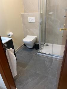 a bathroom with a toilet and a shower at Joli Studio près des Bains de Lavey in Savatan