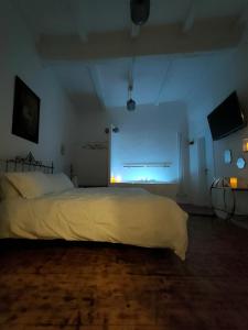 1 dormitorio con 1 cama grande en una habitación en Il Sitarein, en Bolonia