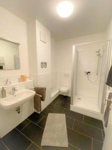 ein Badezimmer mit Waschbecken, Dusche und Toilette in der Unterkunft Studiowohnung 1 in Buxtehude in Buxtehude