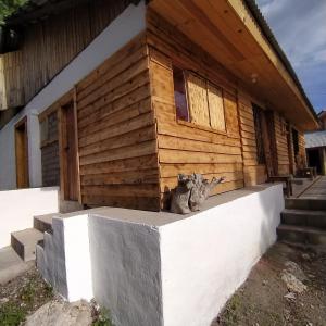 um gato sentado numa parede em frente a uma casa em Habitaciónes estilo cabaña las Herraduras em Creel