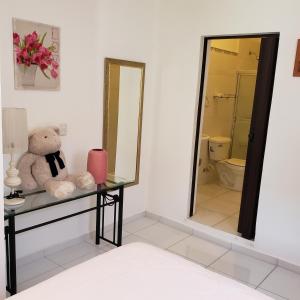 a teddy bear sitting on a counter in a bathroom at Lovely location , right downtown Puerto Plata in San Felipe de Puerto Plata