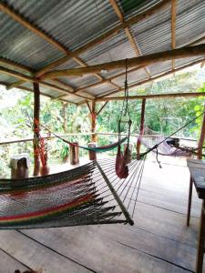 eine Hängematte auf einer Holzterrasse mit Bäumen im Hintergrund in der Unterkunft Rio Agujitas Eco-Jungle in Drake