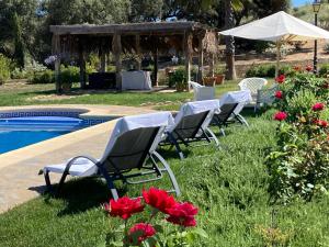 Bazén v ubytovaní Finca las Encinas alebo v jeho blízkosti