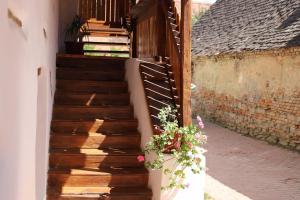 een houten trap met bloemen aan de zijkant van een huis bij Casa de Vacanta FAMILY & FRIENDS in Criţ