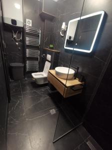 ein Badezimmer mit einem Waschbecken, einem WC und einem Spiegel in der Unterkunft City-centar in Banja Luka