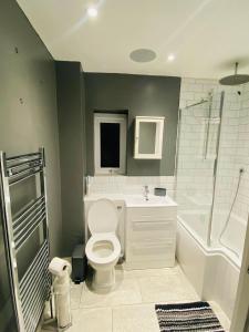 a bathroom with a toilet and a sink and a shower at Esplanade lodge in Strood