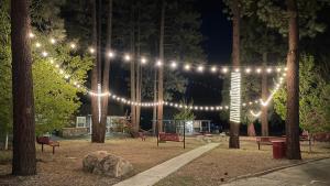 een reeks lichten in een park 's nachts bij Bay Meadows Resort in Big Bear Lake