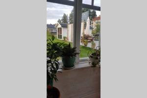 Fotografie z fotogalerie ubytování Loftstuga i Säfsen v destinaci Fredriksberg