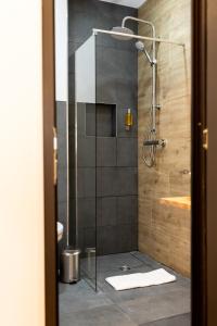 un bagno con doccia con porta in vetro di Corvin Guesthouse a Hunedoara Altre 35 foto