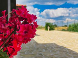 Фотография из галереи REȘEDINȚA PRINȚESELOR в городе Ваду