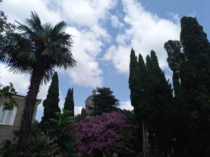 a group of trees and a palm tree and a building at Downtown guest house in Kutaisi