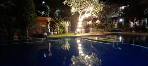 a swimming pool at night with lights at Puri Bali Hotel in Lovina