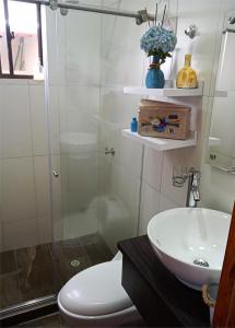 a bathroom with a shower and a toilet and a sink at VILLA CUCHA in Monguí