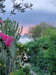 um jardim com cactos e flores e um corpo de água em La Rosamarina em Stromboli