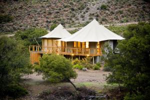 a house with two tents in the middle of a field at Sanbona Wildlife Reserve in Barrydale