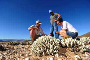 a group of people looking at a cactus at Sanbona Wildlife Reserve in Barrydale