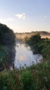 Zdjęcie z galerii obiektu PanAnn Organic Farm w mieście Narewka