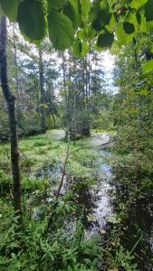 Zdjęcie z galerii obiektu PanAnn Organic Farm w mieście Narewka