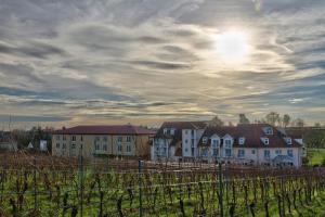 a row of houses in a vineyard with a cloudy sky at Das Prinzregent in Edenkoben