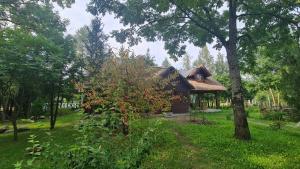 Zdjęcie z galerii obiektu PanAnn Organic Farm w mieście Narewka