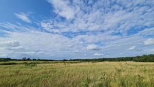 Zdjęcie z galerii obiektu PanAnn Organic Farm w mieście Narewka