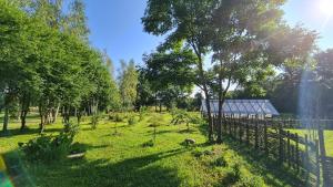 Zdjęcie z galerii obiektu PanAnn Organic Farm w mieście Narewka +37 zdjęć