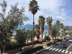 une rue bordée de palmiers dans l'établissement La dimora delle sirene, à Salerne