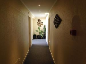 Fotografie z fotogalerie ubytování Hotel Paiva v destinaci Monte Gordo