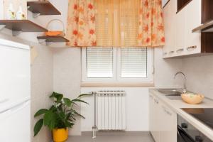 Kuchyň nebo kuchyňský kout v ubytování Apartment Marija