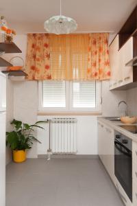 Kuchyň nebo kuchyňský kout v ubytování Apartment Marija
