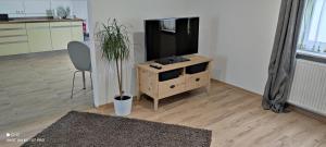 a living room with a television and a potted plant at Am Belz in Lebach