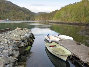 two boats are docked at a dock on a river at Holiday Home Granlien - FJS546 by Interhome in Gjølanger