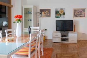 TV a/nebo společenská místnost v ubytování Apartment Marija