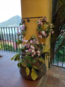 Nespecifikovaný výhled na hory nebo výhled na hory při pohledu z bed and breakfast