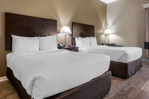 two beds in a hotel room with white pillows at Comfort Inn & Suites DeLand - near University in De Land
