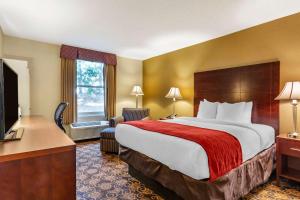 Gallery image of Comfort Inn Rockland - Boston in Rockland