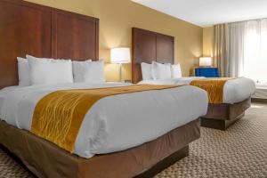 Gallery image of Comfort Inn Auburn - Seattle in Auburn