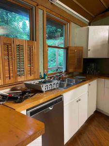 a kitchen with a sink and a counter top at Treetops in Town in Charleston